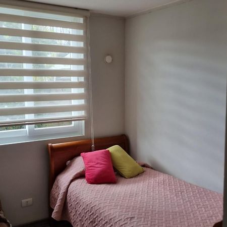 Plaza Brintrup Διαμέρισμα Puerto Varas Εξωτερικό φωτογραφία
